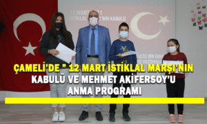 ÇAMELİ İLÇESİ