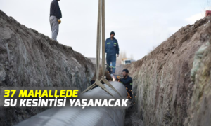 MANŞET ŞABLON
