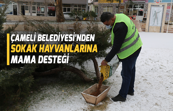 çameli belediyesi