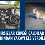 denizlide hırsızlık