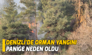 orman yangını
