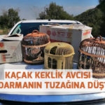Kaçak keklik avcısı jandarmanın tuzağına düştü