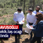 Çavuşoğlu 56