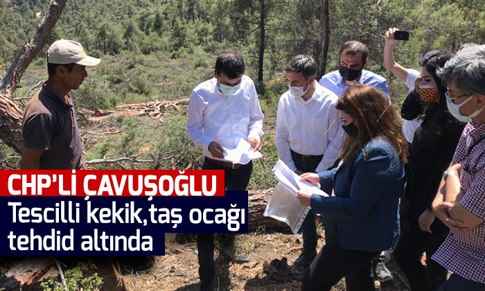 Çavuşoğlu 56