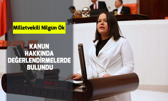 Kanun Hakkında Değerlendirmelerde Bulundu