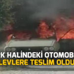 Park halindeki otomobil alevlere teslim oldu