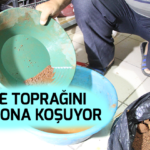 Eline toprağını alan ona koşuyor