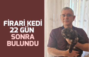 Firari kedi 22 gün sonra bulundu