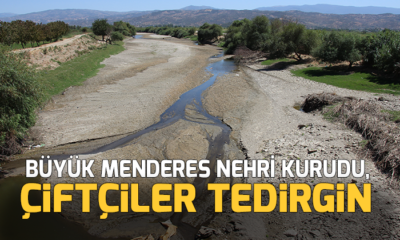 Büyük Menderes Nehri kurudu, çiftçiler tedirgin
