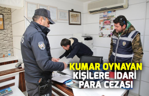 denetim