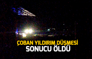 Dağda keçilerini otlatan çoban yıldırım düşmesi sonucu öldü1