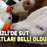 Köy Kooperatifleri