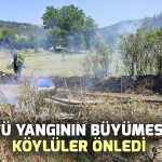 Örtü yangının büyümesini köylüler önledi
