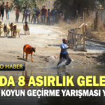 Fethi Akcan