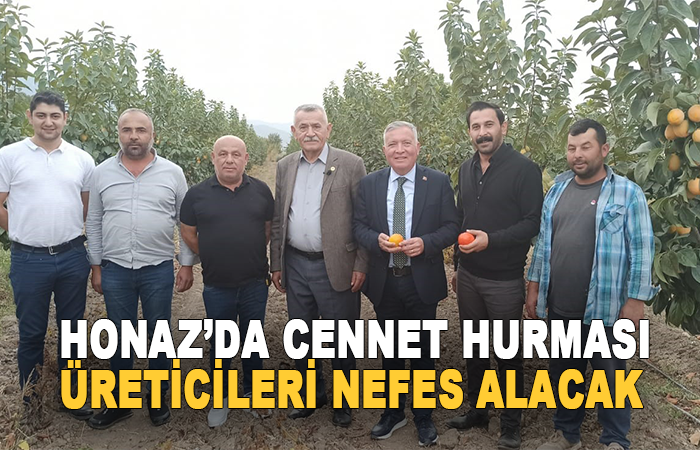 Honaz’da cennet hurması üreticileri nefes alacak