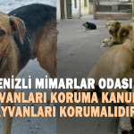 72 milletvekilinin imzası ile TBMM