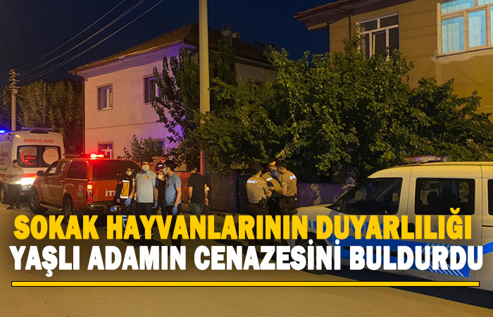 Sokak-hayvanlarının-duyarlılığı-yaşlı-adamın-cenazesini-buldurdu