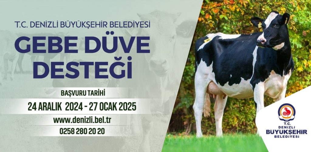 köye dönüş