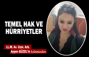 Temel Hak ve Hürriyetler