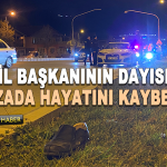 İl başkanının dayısı kazada hayatını kaybetti