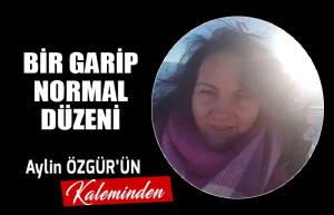 Bir Garip Normal Düzeni