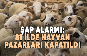 Şap Alarmı: Hayvan Pazarları Kapatıldı