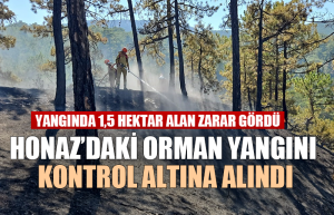 Denizli’de Orman Yangını Söndürüldü