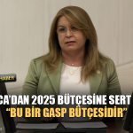 “Bu Bir Gasp Bütçesidir”