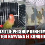 Denizli’de Petshop Denetimi