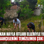 Başkan Hayla Otları Elleriyle Yoldu