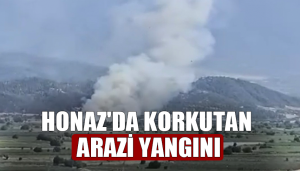 Honaz'da Korkutan Arazi Yangını