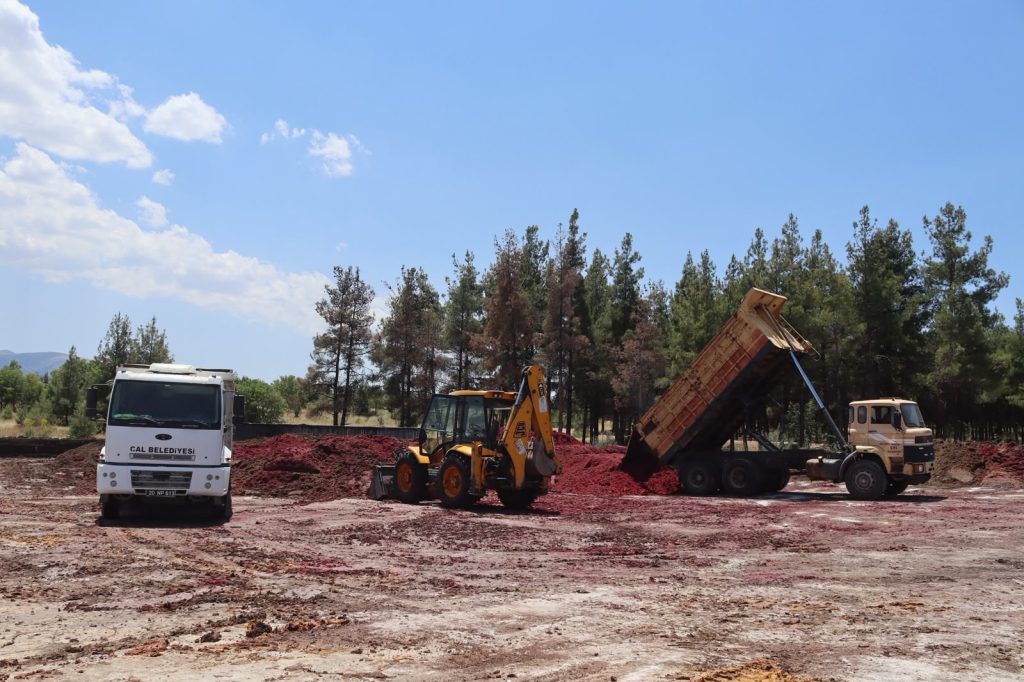 Çal'da kırmızı pancar küspesi desteği sürüyor, paketleme tesisi kurulacak
