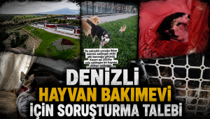 Denizli Hayvan Bakımevi İçin İnceleme ve Soruşturma Başvurusu