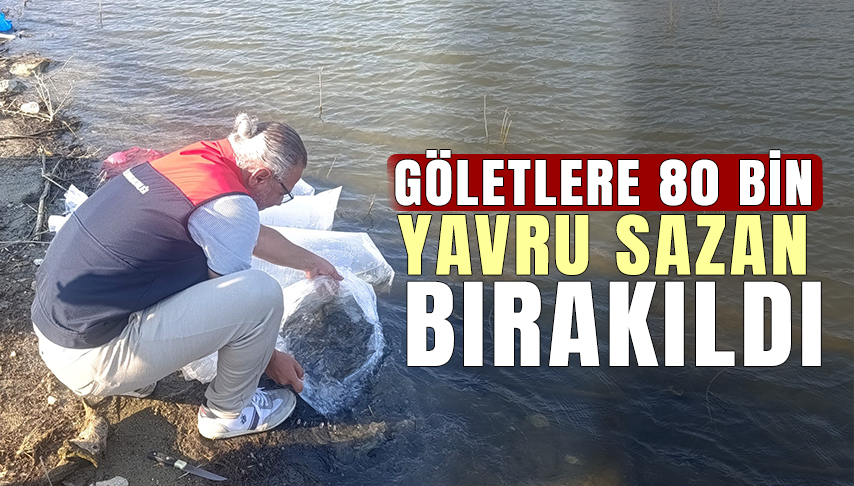 Göletlere 80 Bin Yavru Sazan Bırakıldı
