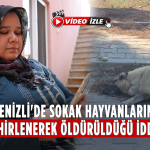 Denizli’de Sokak Hayvanları Zehirlendi İddiası