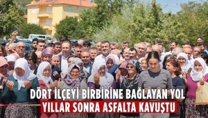 Dört İlçeyi Bağlayan Yol Asfalta Kavuştu