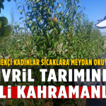 Çivril Tarımının Gizli Kahramanları