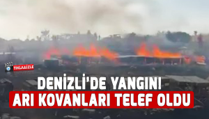 Yangında Arı Kovanları Telef Oldu