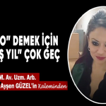 Bir “Alo” Demek İçin “Üç Beş Yıl” Çok Geç