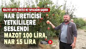 Denizli’de Nar Üreticisinin Feryadı