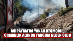 Acıpayam’da Araç Yangını Ormana Sıçradı