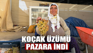 Çivril’de Koçak Üzümü Pazara İndi