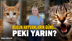 Bugün Hayvanların Günü… Peki Yarın?